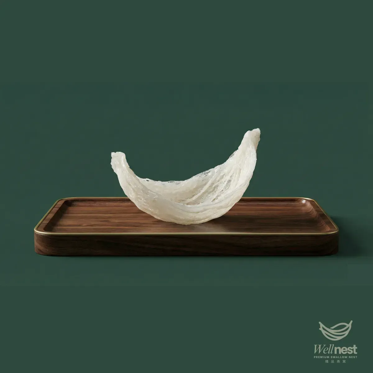 Bird Nest Gallery