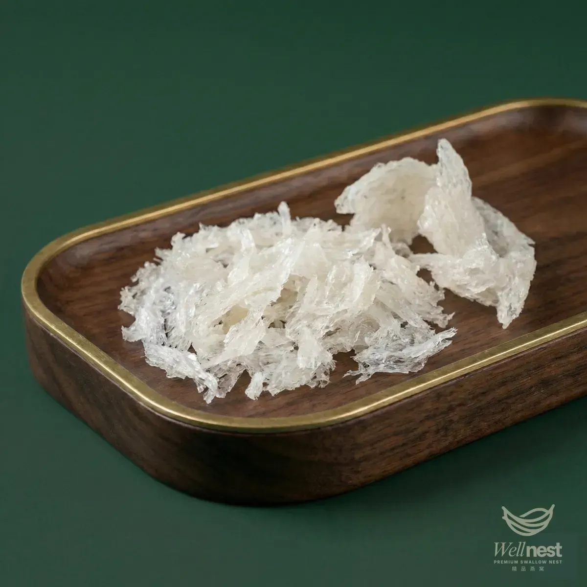 Bird Nest Gallery