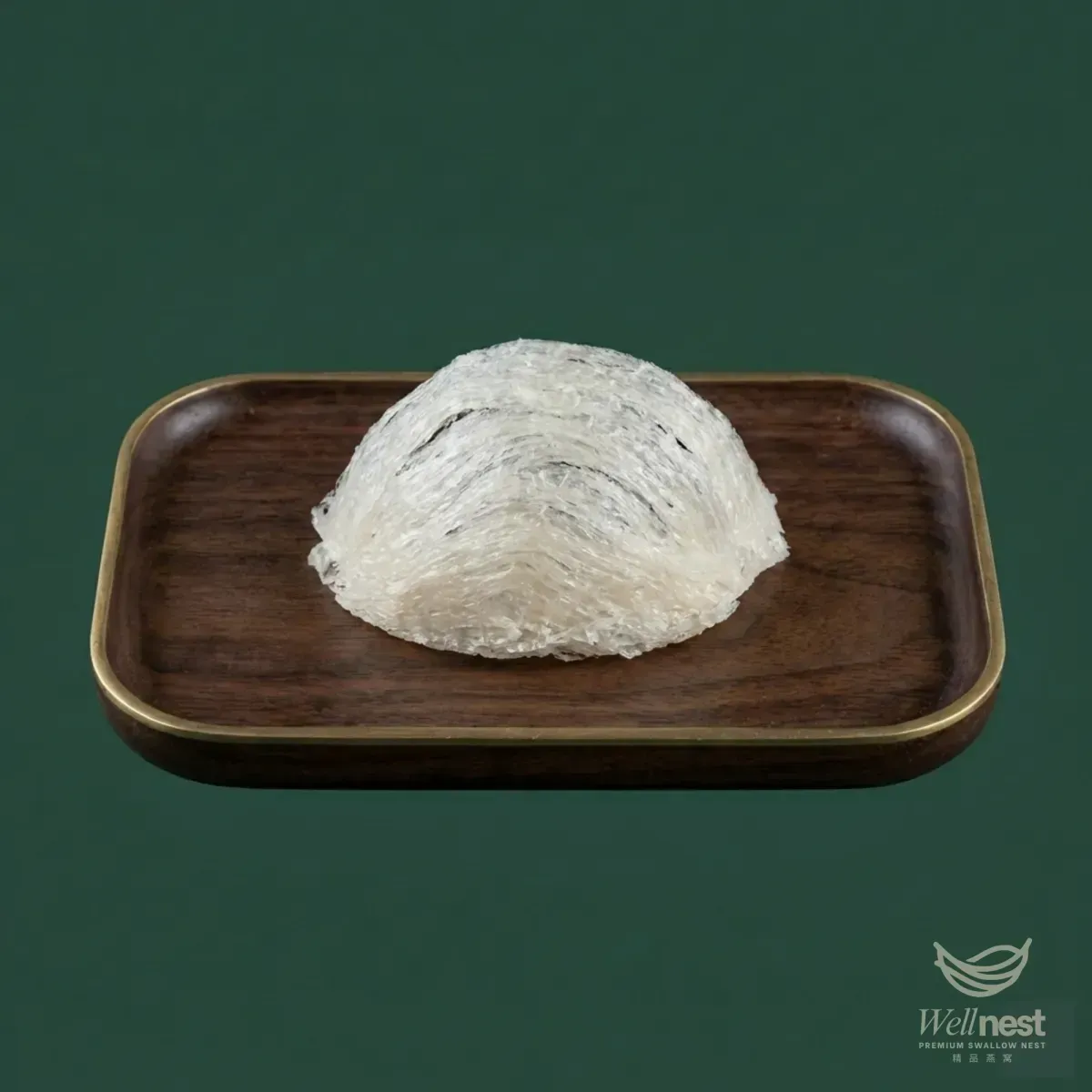 Bird Nest Gallery