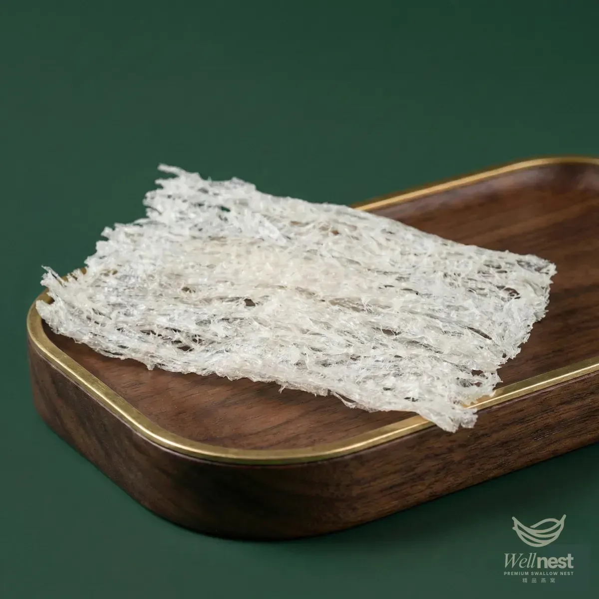 Bird Nest Gallery