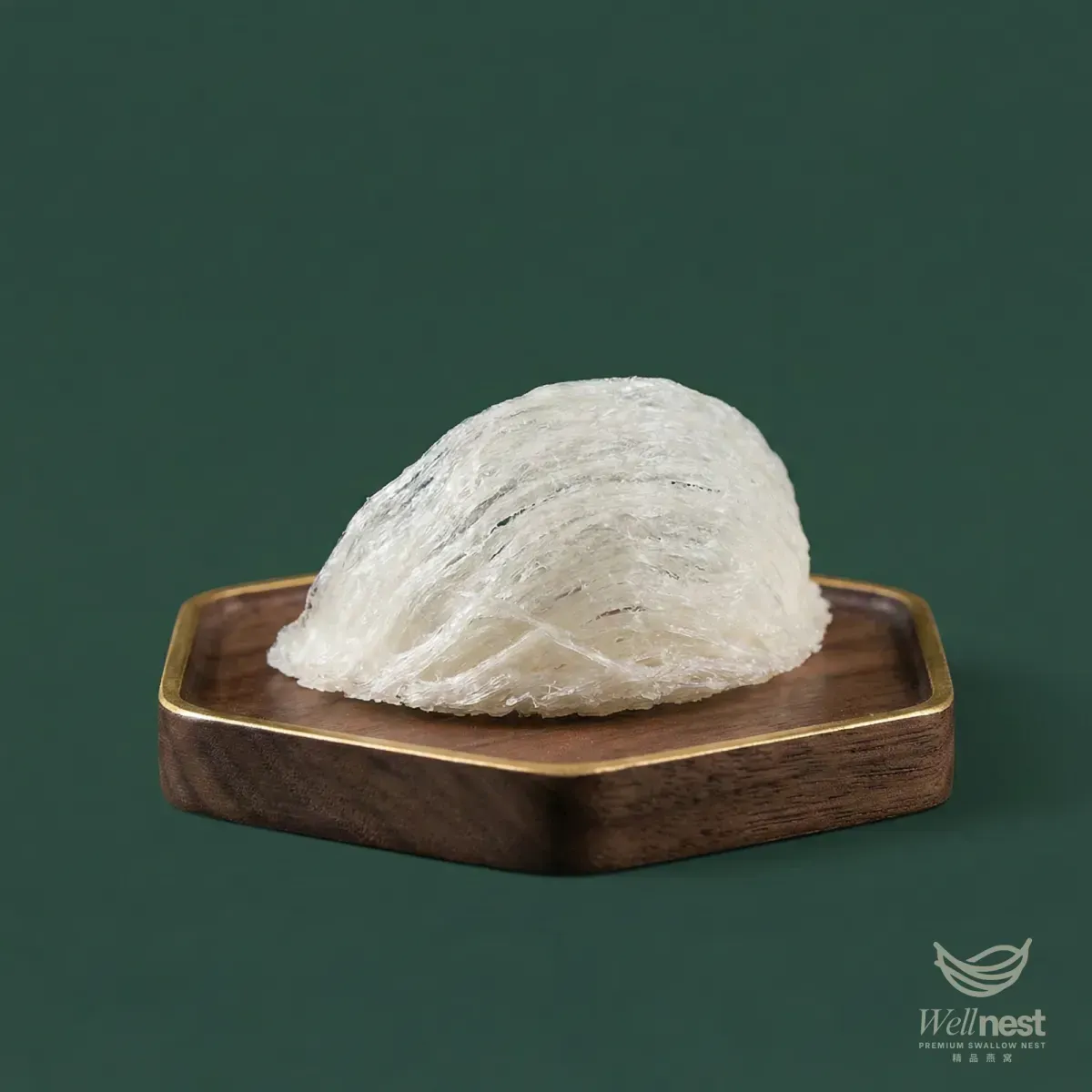 Bird Nest Gallery